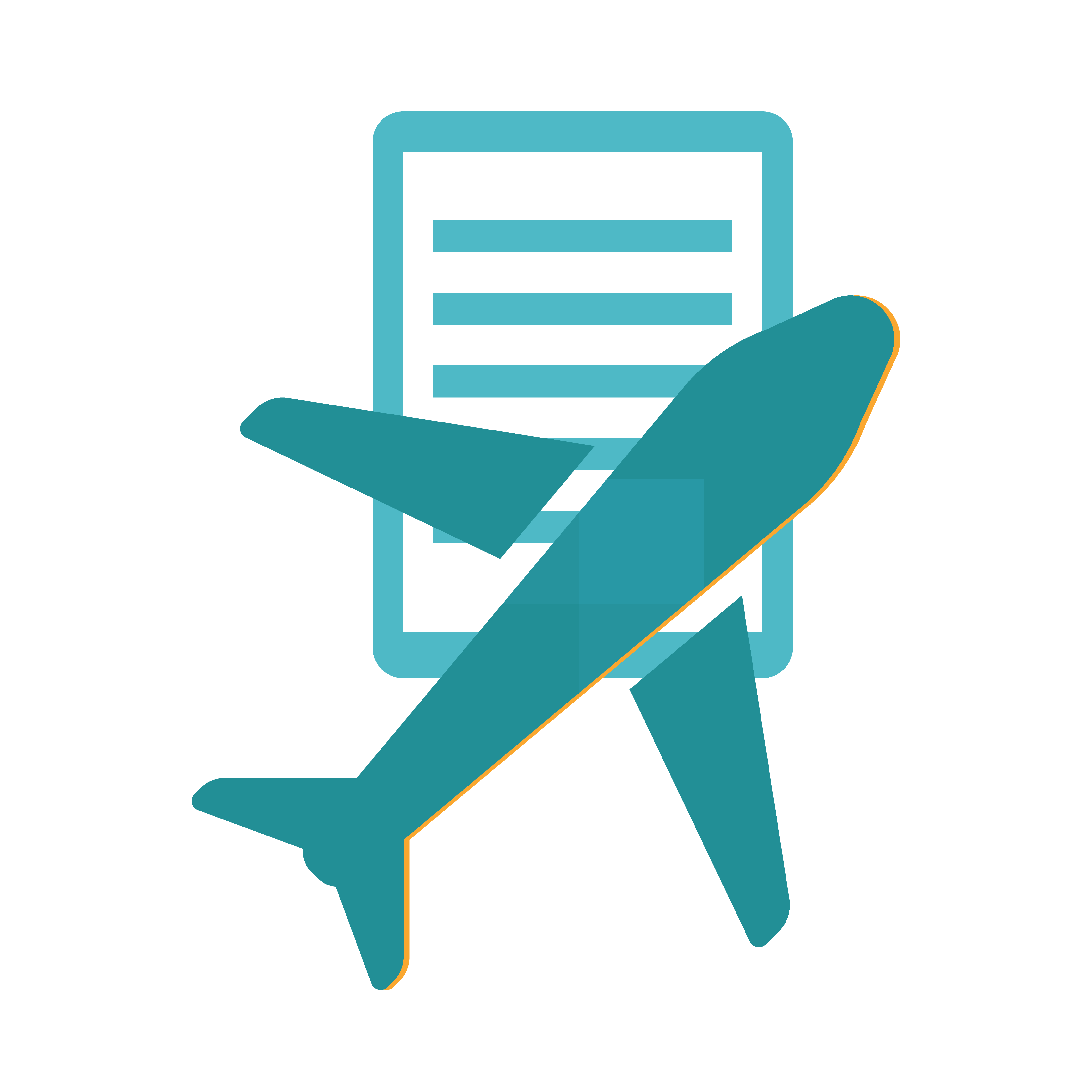 flight details